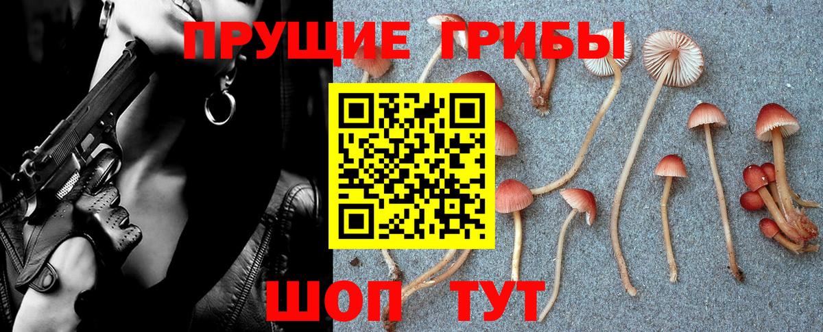 Ростов Великий  Псилоцибиновые грибы Cubensis  Вход с VPN 