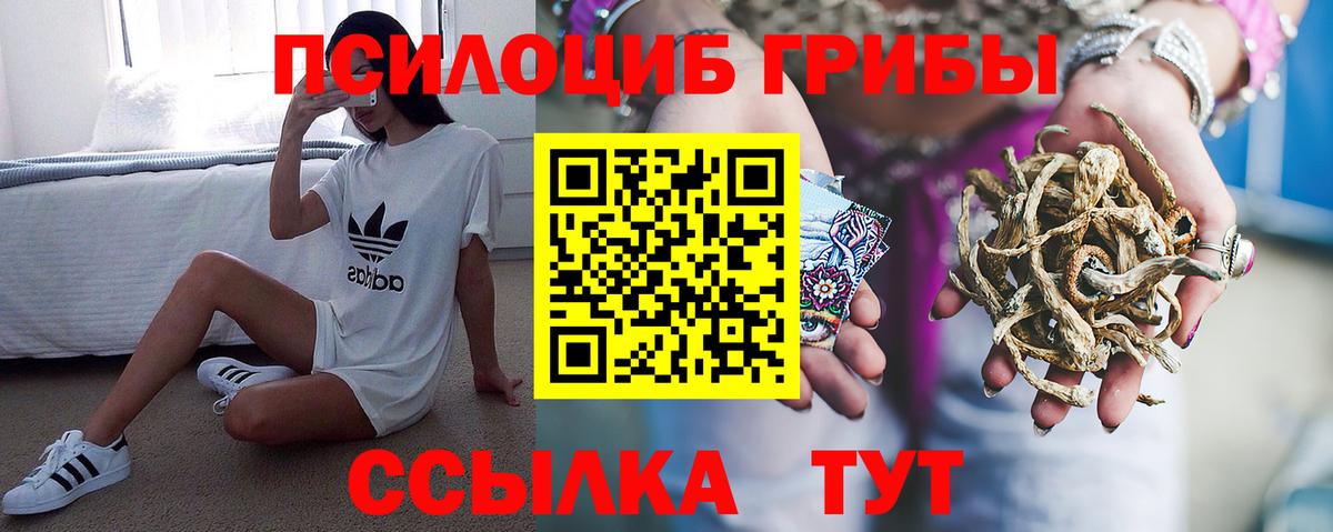Псилоцибиновые грибы Cubensis Ростов Великий
